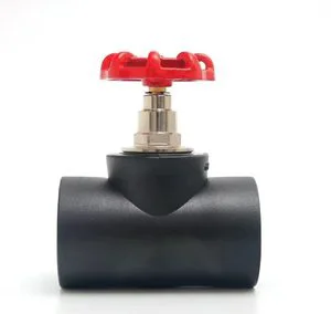 PE Stainless Steel stem Globe Valve with Hot Melt Connection, Customizable