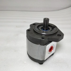 ZY Hydraulic Pump Pgp30 Pgp31 Pgp50 Pgp51 Pgp Pgm Series Pgp517a0500cd1h3mp4p3b1 High Pressure Gear Pump Oil Pump