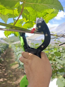 Plant Tying Machine-Fast Automatic Vine Binding Tool for Grape Tomato & Cucumber Garden Tool Set with Plastic Handle Lightweight