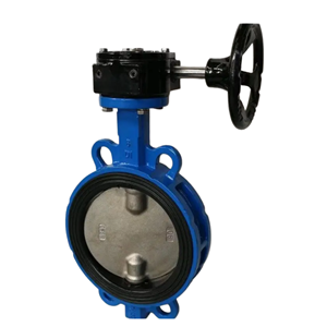 Wafer Type Turbine Butterfly Valve D371X-16Q Manual Soft Seal Cast Iron DN80 DN100