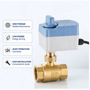 Electric Actuated Brass Ball Valve DN25 2-Way AC110-220V Motorized With Manual Override IP65 PN16 Water OEM
