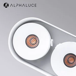 Two Heads Rotatable Surface Mount Ceiling Lamp Oval Double Lamp Housing Indoor Accent Light for Art Exhibition Hotel Corridor