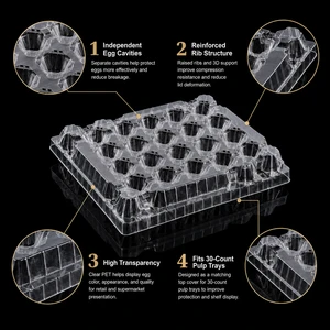 Shockproof Food Grade PET Egg Tray Lid Clear Plastic Packaging Box Stackable Anti-Shock Structure Poultry Farm OEM ODM Custom