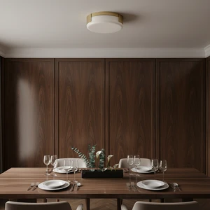 Customized Outdoor LED Ceiling Lamp Modern Design IP66 Waterproof Surface Mounted Simple Style Switch Control 1-Year Warranty