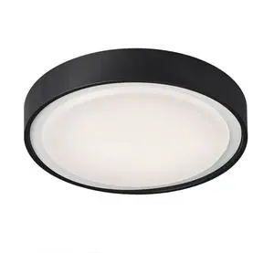 P25811 IP65 Modern LED Surface Mounted Ceiling Light for Indoor/Outdoor Use Living Room & Office