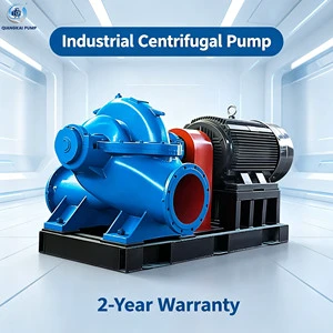 Split Sleeve Axial Double Suction Centrifugal Pump, Special Water Pump for Garden & Greenhouse, Affordable Price