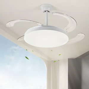 Fashionable Ceiling LED Fan Light for Home Decoration 360 Degree Rotating Remote Control Modern Ceiling Fan