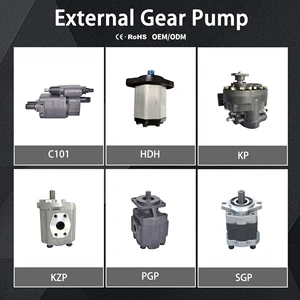 Prance DC Micro Hydraulic PTO Gear Pump for Dump Trucks Cast Iron 250 Bar 2 HP CE&ROHS CERTIFICATED