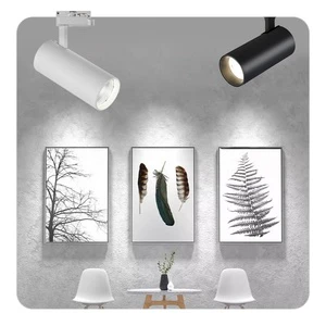 Modern Commercial Led Track Light Fixture Ra80 COB Spot Light 20w 25w Aluminium Housing 2 Wire 4 Wire Track Spotlight