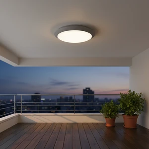 IP65 Good Quality SMD LED 18W PC Material Round Lamp Ceiling Outdoor Morden Led Ceiling Lamp