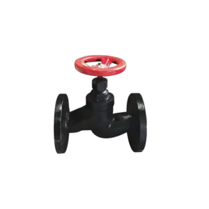 Standard Steam Globe Valve