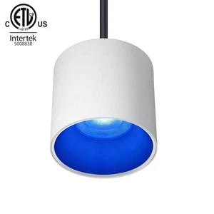 60W UL ETL Listed Decorative Lighting Outdoor CCT Tunnable RGBW DMX Wireless Wifi Control Downlights Led Ceiling Light for House