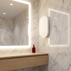 IP65 Waterproof LED Bulkhead Light 3 CCT Adjustable 20W Oval Wall Lamp Snap-On Bracket for Indoor Balcony Corridor