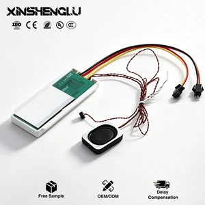 XSL Spanish Style Voice Touch Switch | DC 5A 12V/24V 60W | Single Color Dimming Functions | for LED Bathroom Mirror