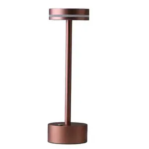 Metal Table Lamp Bedroom Bedside USB Charged Decorative Piece Eye Protecting Small Night Light Ambient Lighting Bistro Lamp
