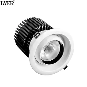 LED Embedded High-Power Recessed Downlight Commercial Lighting 20-50W Embedded Ceiling Light COB Spotlight
