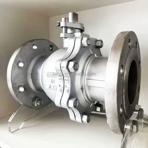 DN65 PN16 Stainless Steel Swing Flange Non Return Valve CF8 304 316 Flanged Check Valve