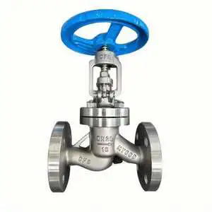 Cast Iron Inner Thread End Globe Valve DN50-DN200 Cast Steel Manuals For Water OEM Customizable