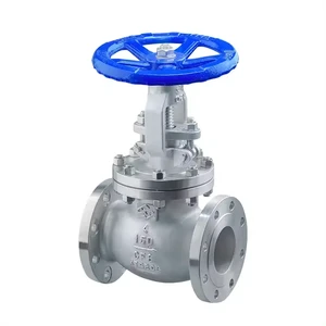 Customized Water Control Low Pressure Cf8 4 Inch Stainless Steel Api Globe Valve
