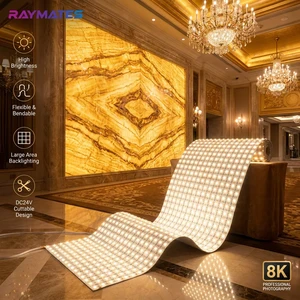 UL CE RAYMATES Smart Control White 5600K Panel Light Matrix Sheets 13W 1450LM Bendable Flex Led Sheet Lighting