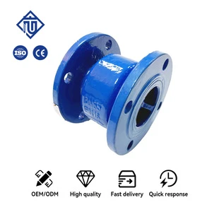 Ductile Iron/Cast Steel Flanged Vertical Spring Loaded Silent Lift Check Valve