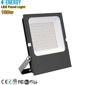 High Lumen Output 170lm/w Super Bright ETL SAA CE Approved Economical Ip66 100w Floodlight Outdoor Lighting Led Flood Light