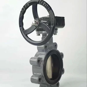 Exquisite 4-Inch Manual Power Lug Butterfly Valve Stainless Steel for Water Oil Gas Media Control