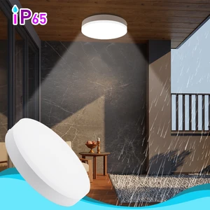 New White Round Surface Mounted Dimmable IP65 Waterproof Outdoor Indoor Led Ceiling Lamp for Balcony