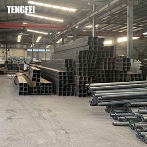 Tengfei Outdoor Double-Arm Street Light Pole Hot Galvanized Design for Road and Square Lamp Poles