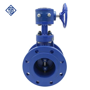 Double Offset Flanged Butterfly Valve for Water Treatment 6 / 10 / 12 Inch DN300 PN10