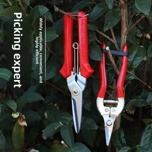 Juzhengsheng Red Grape Pruning Shears Plastic Handle Garden Fruit-Picking Bud-Trimming Scissors Citrus Flower-Thinning Model S01