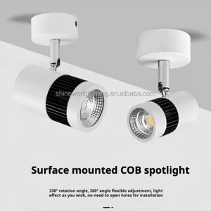 Modern Design High Lumen LED Spotlights 3CCT 3W Round COB with High Color Focus Embedded Anti Glare Spotlights