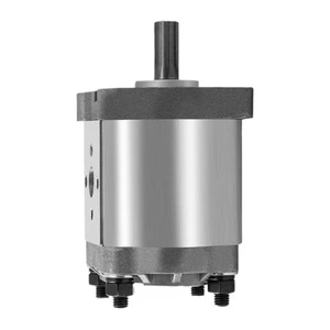 Affordably Price JinDing 0.5HP High Pressure Hydraulic Gear Pump Compatible With Heavy Duty Loader Crane 1 Year Warranty
