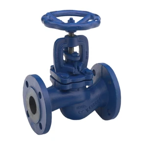 Stainless Steel Shutoff Flanged Globe Valve OEM