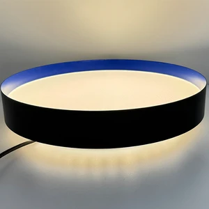 Newest Home Ceiling Lights Flush Mounted Round LED Ceiling Light CCT Adjustable for Living Room Office