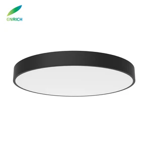 Modern Round Flat LED Ceiling Light Fixtures IP44 24W Adjustable Slim Dimmable 3000K/4000K/6500K LED Flush Mount Chandeliers