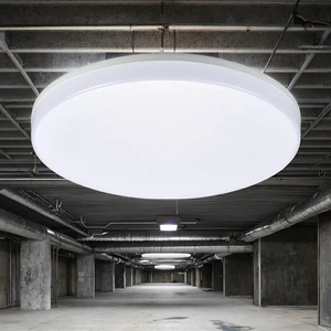 Waterproof Lamp Dustproof Insect-Proof LED Ceiling Lamp for Basement Ship Cabin Outdoor Wharf Swimming Pool Refrigerated