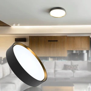 Toppo Sensor Control LED Ceiling Light Modern Design CCT Adjustable 130LM/W IP45 Rated Bathroom Outdoor Garden 50000 Hours