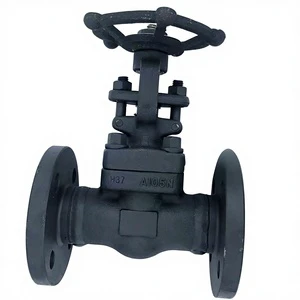 Wugong Manual Globe Valve US Standard Flange DN20-DN50 Forged Steel High Temperature Petrochemical Use A105A Highly Corrosive