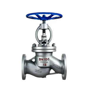 Cast Steel Globe Valve Stop Valve High-Temperature Application Manual Power General Water Pressure Regulator OEM Customized
