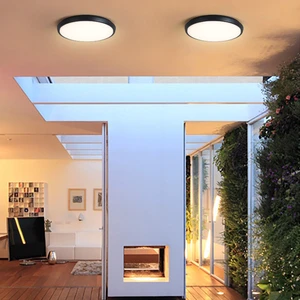 Outdoor IP65 Waterproof Die Cast Aluminum Led Wall Lamp 20W 30W Surface Mounted Balcony Ceiling Light Garden Adjustable Color