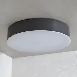 IP65 Indoor Outdoor Led Deco Ceiling Lamp Waterproof for Bathroom Led Ceiling Lamp Surface Mounted Decorative Led Ceiling Light