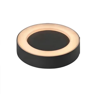 Classic Design LED Outdoor Ceiling Light for Garden Hotel or Villa Elegant Lighting for Exterior Spaces