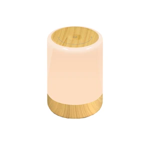 Touch Lamps for Bedrooms Touch Lamp Battery Operated LED Colorful Small Dimmable Led Rechargeable Light Dimmable Touch Control