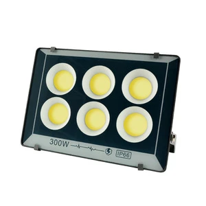 Super Bright Garden Stadium Light 50W 500W 1000W IP66 Waterproof Outdoor Cob Led Flood Light