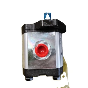 OEM Gear Pump Hydraulic Gear Pump