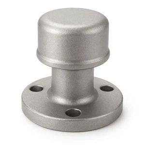 Custom Stainless Steel Valve Cover with Machined Flange