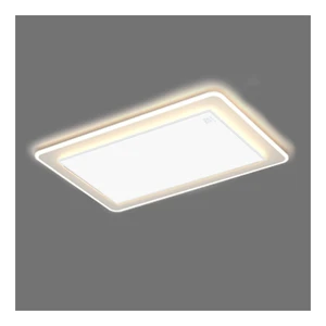 Cixi Hot Sell OME&ODM Ceiling Lamp And Portable Wall Mounted With Bathroom Far Infrared Heater Panel