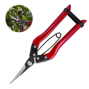 Wholesale Carbon Steel Gardening Scissors Hand Pruner Pruning Shear For Garden Tree Cutting Fruits