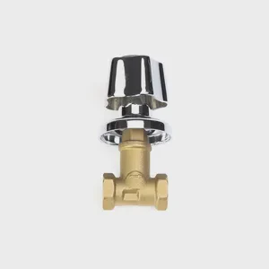 Safety Brass Globe Valve